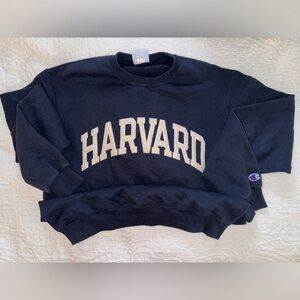 Champion hoodie -Harvard navy blue M